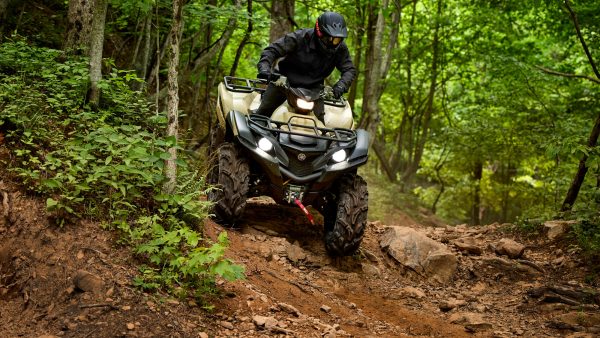 ATV Yamaha Grizzly 700 EPS SE (2023) - imagine 4