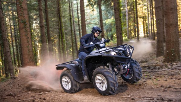 ATV Yamaha Grizzly 700 25th Anniversary (2023) - imagine 16