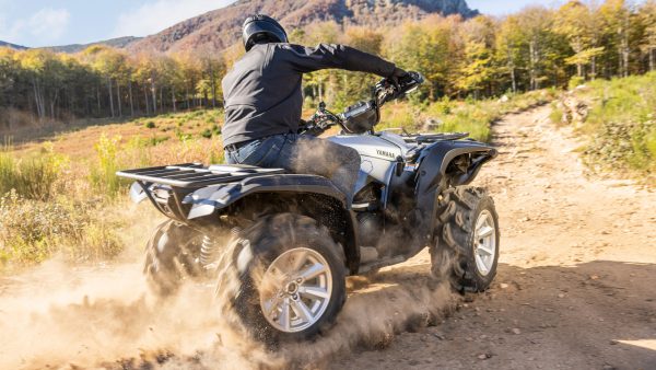 ATV Yamaha Grizzly 700 25th Anniversary (2023) - imagine 18