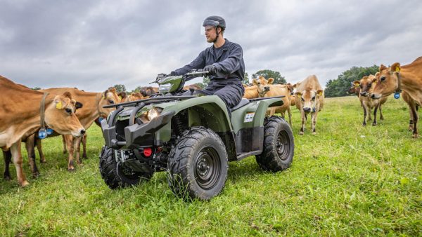 ATV Yamaha Kodiak 450 EPS (2023) - imagine 3