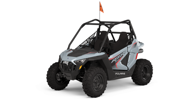 Side by Side Polaris RZR 200 EFI