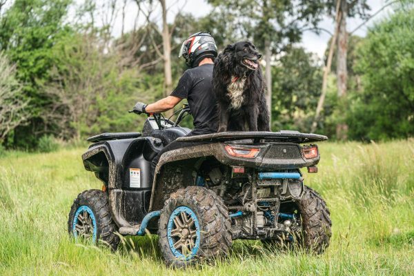 ATV Segway Snarler AT6S - imagine 5